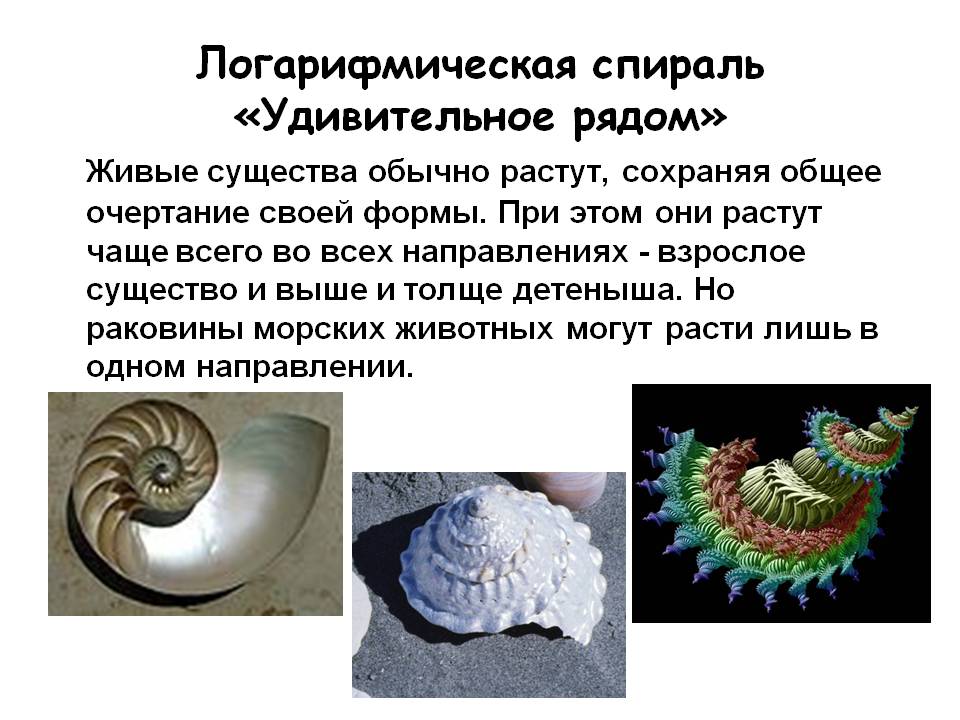Живые существа