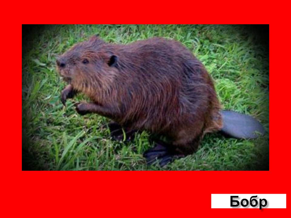 Графическое решение уравнений и неравенств