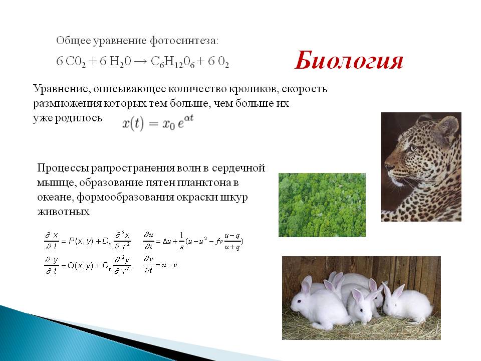 Биология