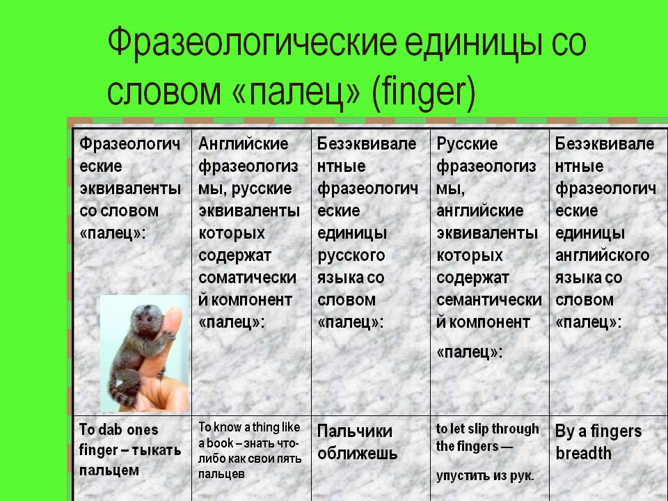Фразеологические единицы со словом «палец» (finger)