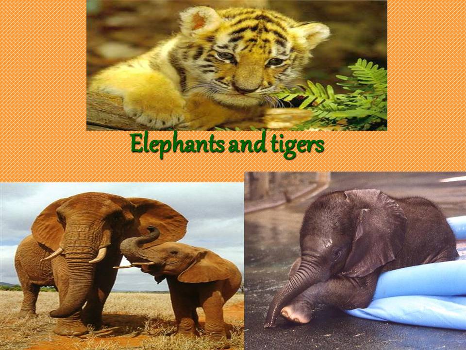 Elephants and tigers