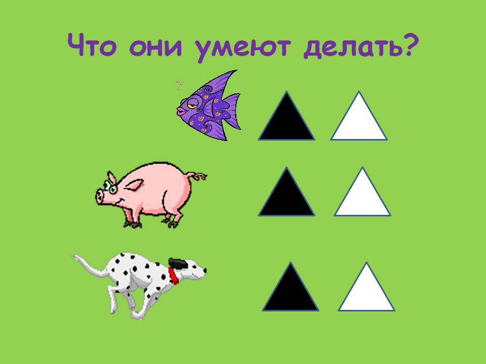 Что они умеют делать