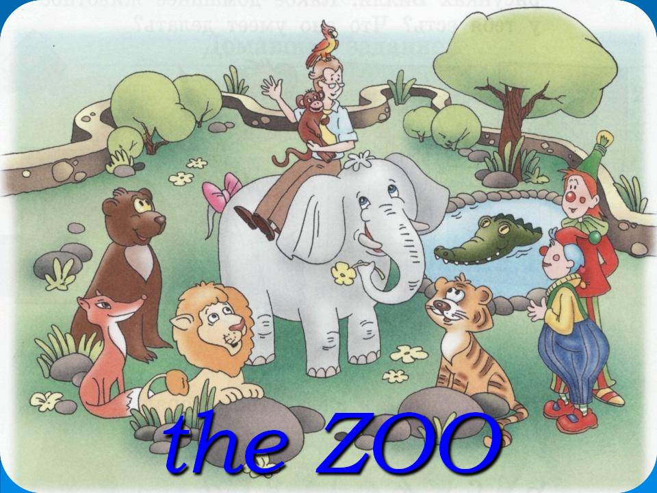 the ZOO