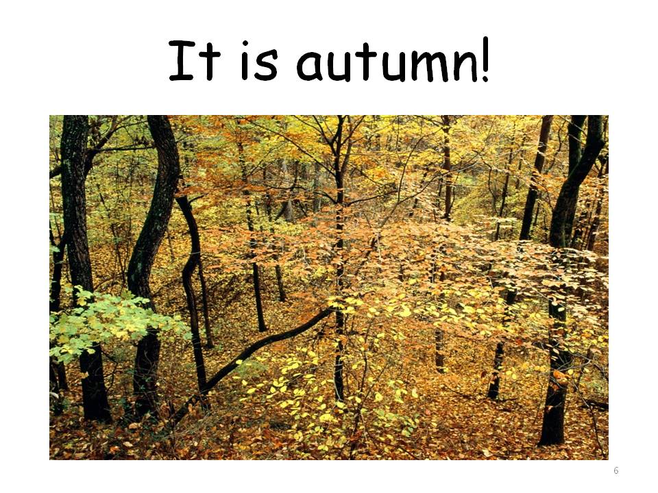 It is autumn