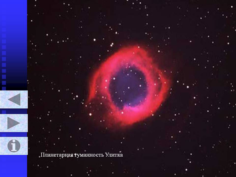 Улитка