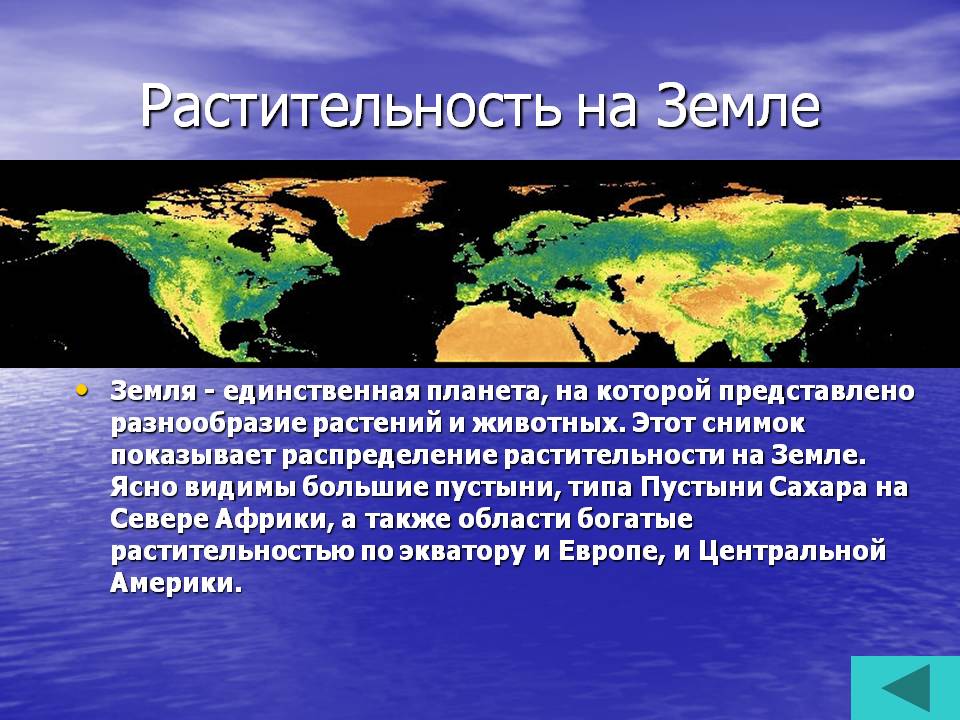 Растительность на Земле