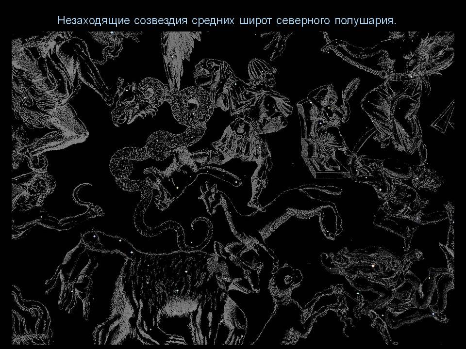 Незаходящие созвездия средних широт северного полушария