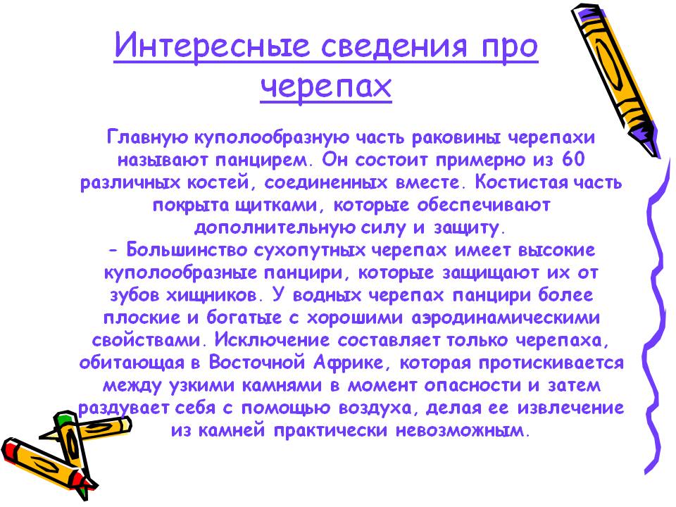 Интересные сведения про черепах
