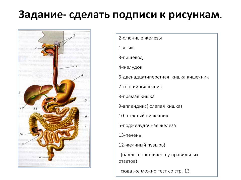 Сделать подписи к рисункам