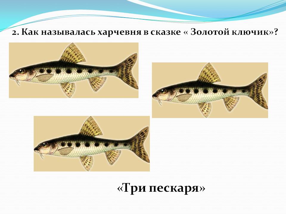 Три пескаря