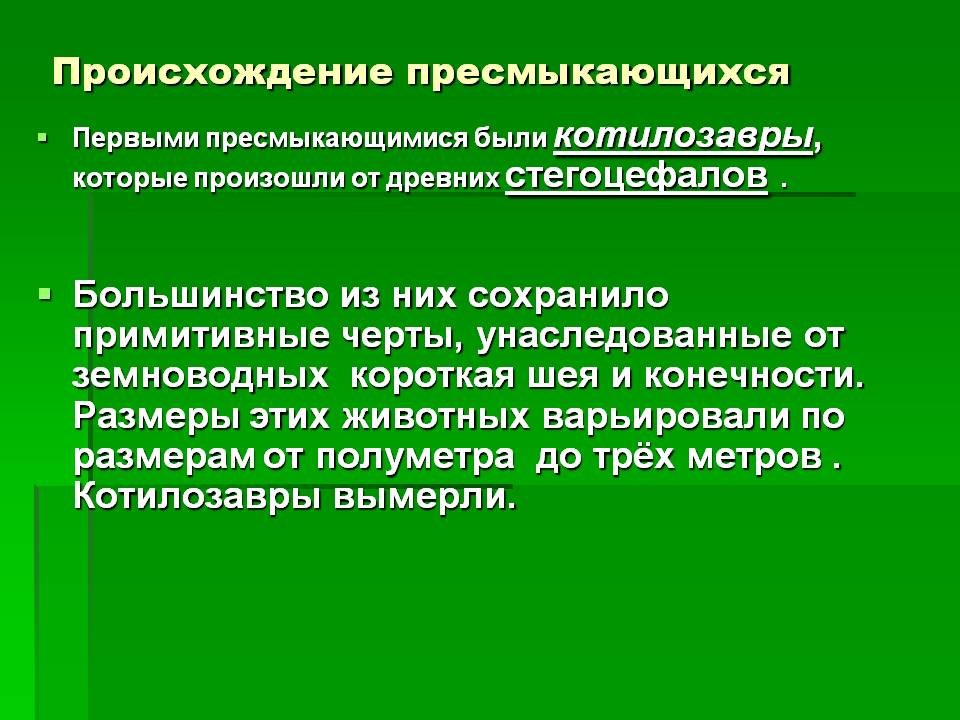 Происхождение пресмыкающихся