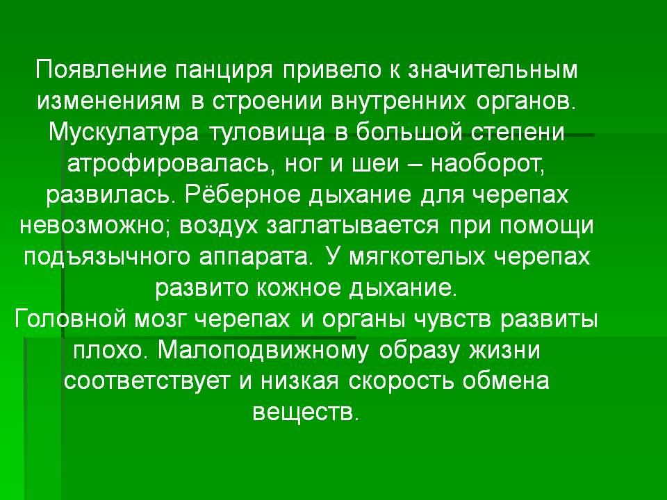 Появление панциря привело к значительным изменениям в строении
