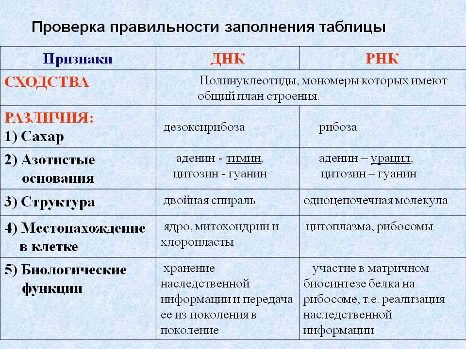 Проверка правильности заполнения таблицы