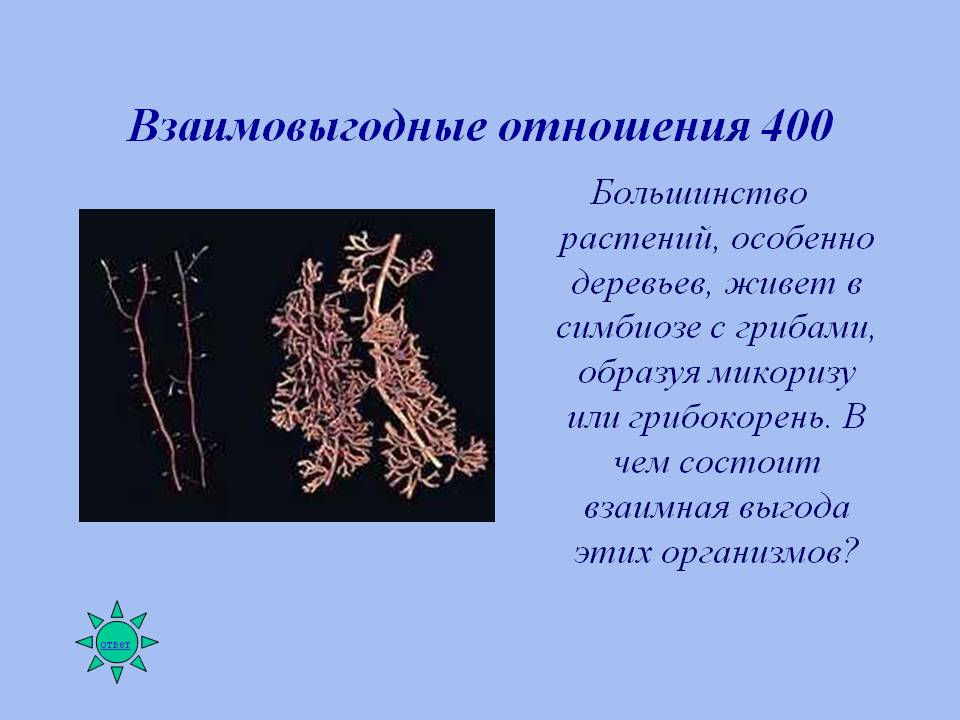 Взаимовыгодные отношения 400