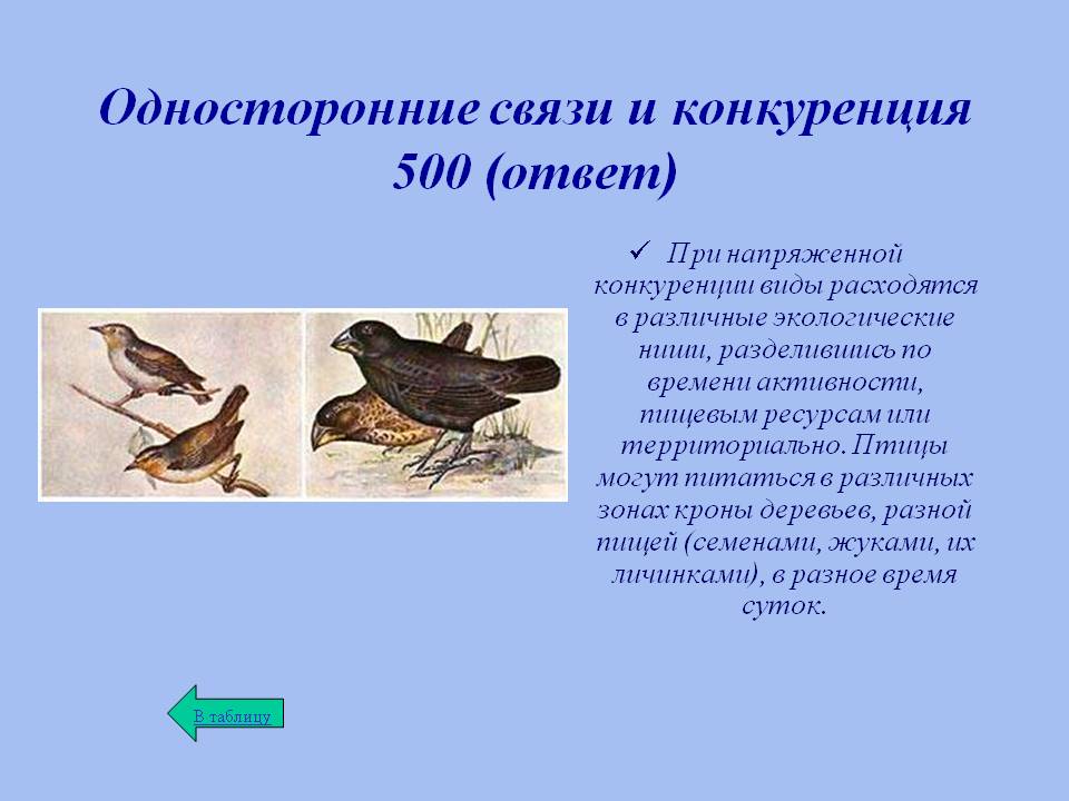 Односторонние связи и конкуренция 500 (ответ)
