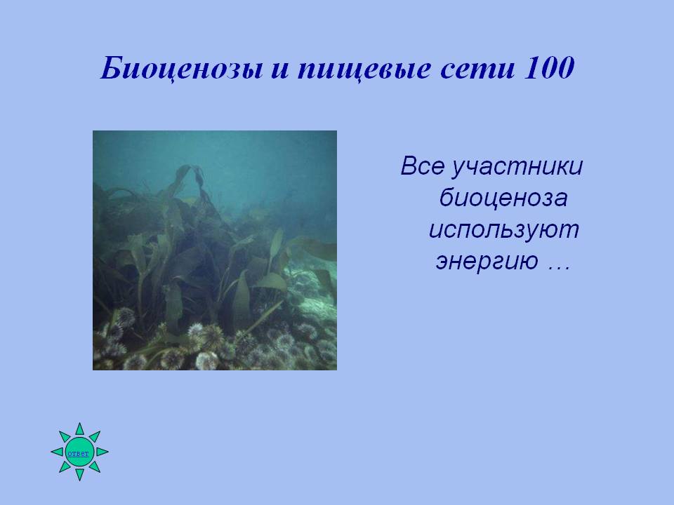 Биоценозы и пищевые сети 100