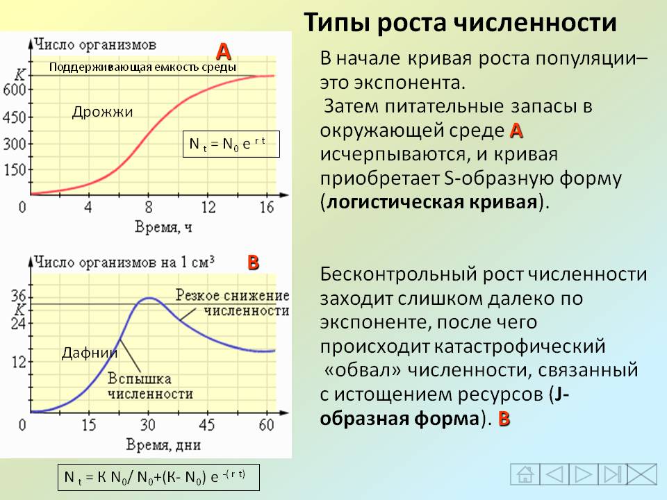 Типы роста численности