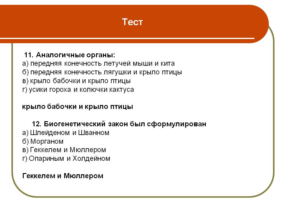 Тест