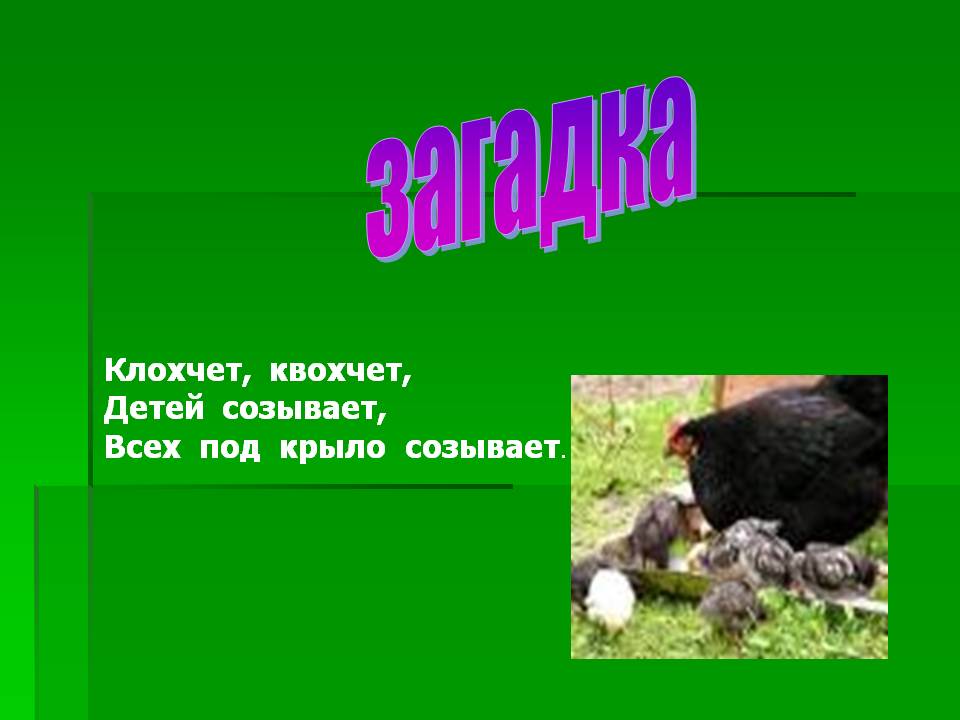 Загадка
