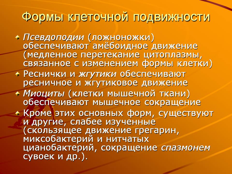 Формы клеточной подвижности