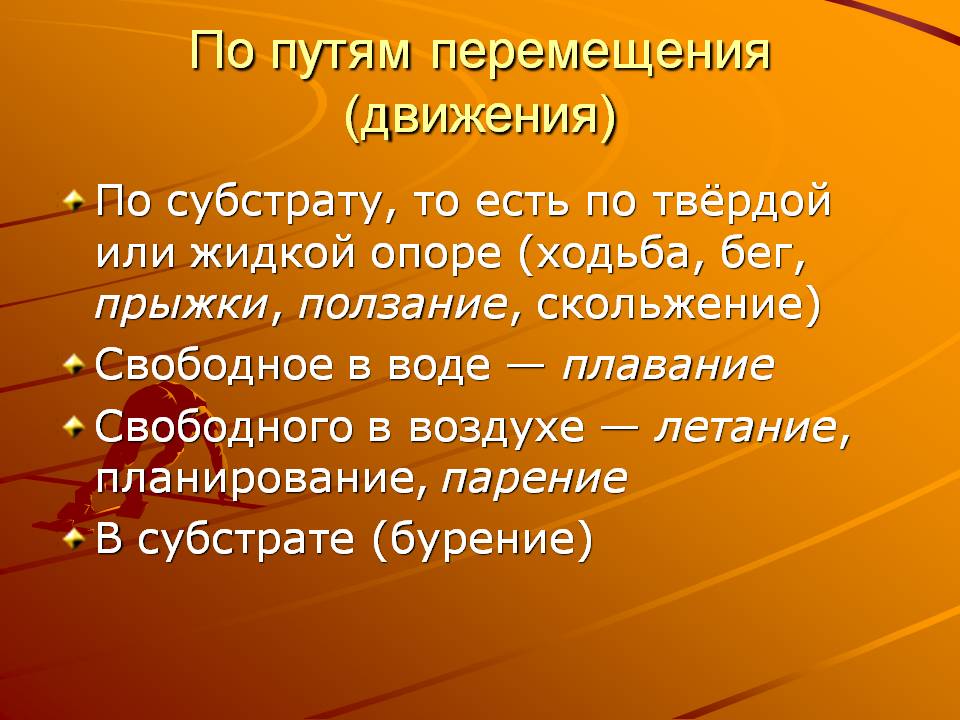 По путям перемещения (движения)