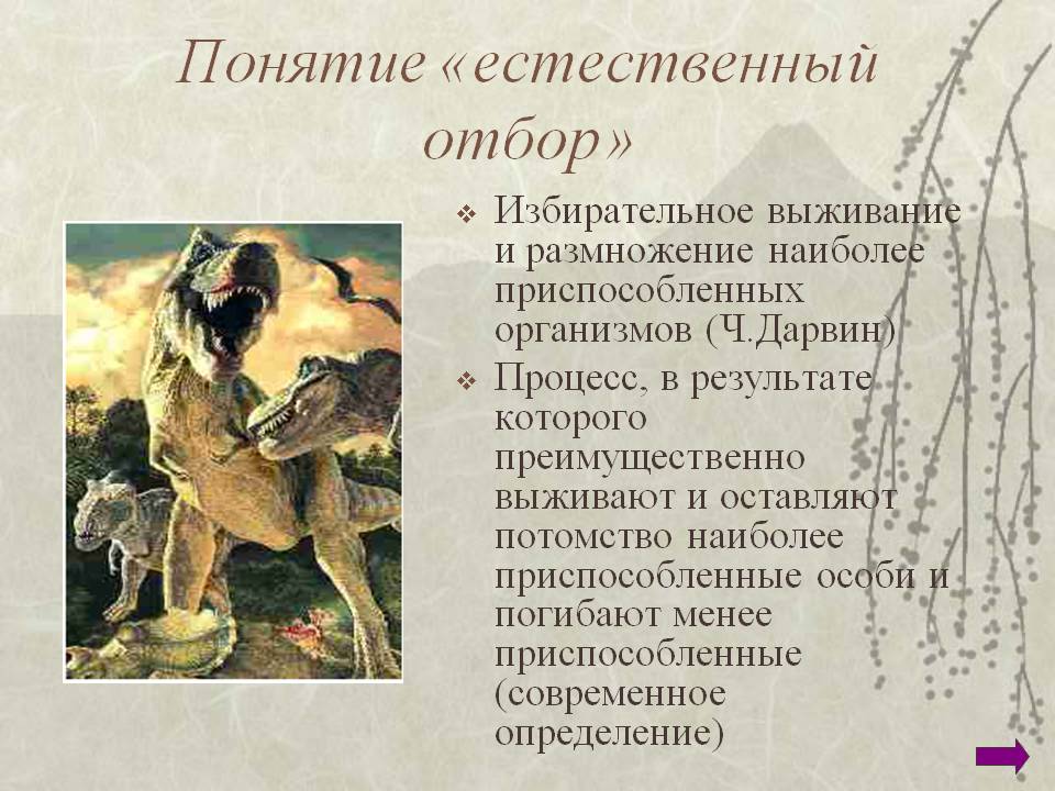Понятие «естественный отбор»