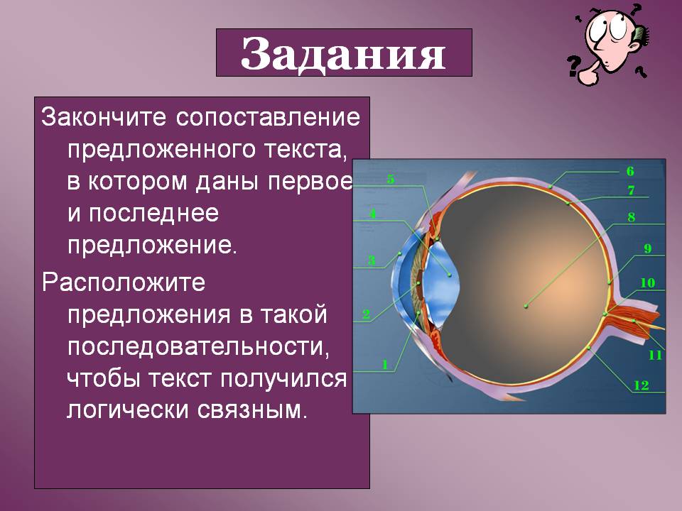 Задания