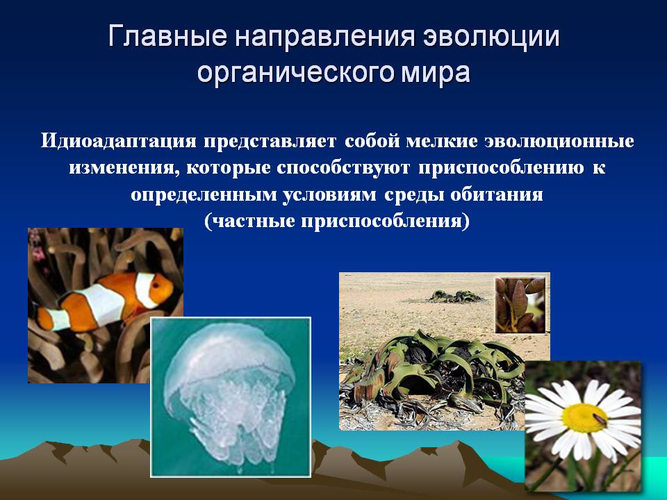 Главные направления эволюции органического мира