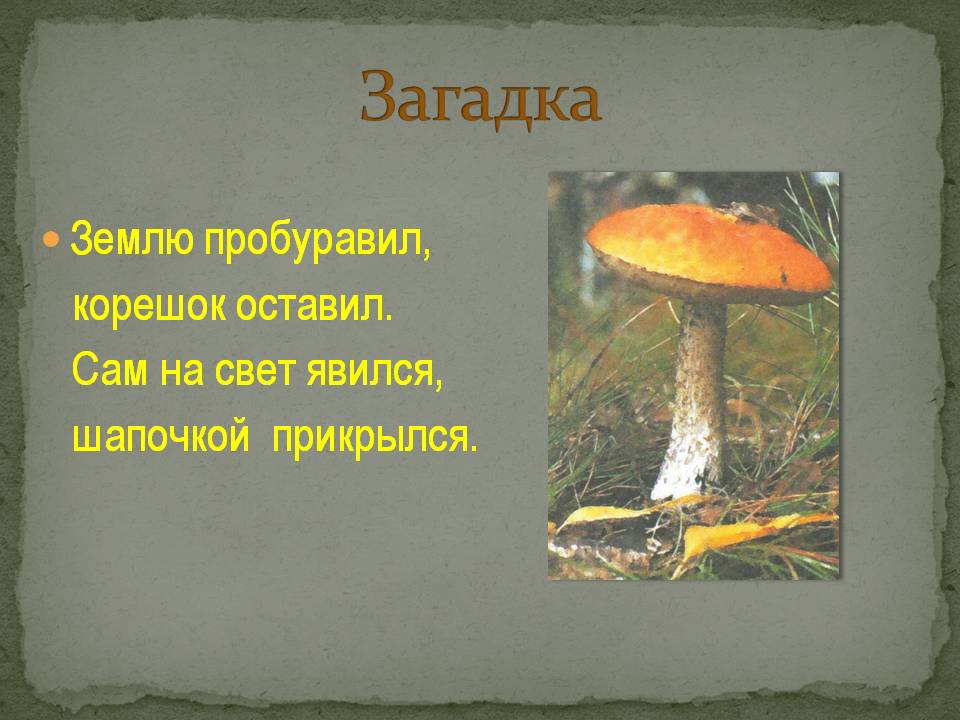 Загадка
