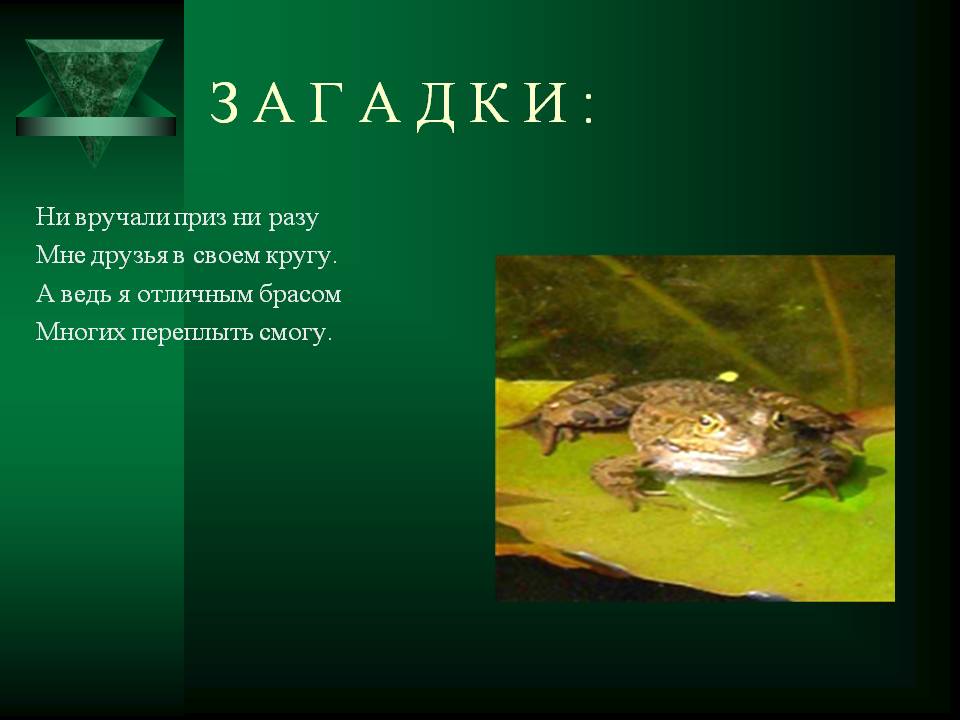 Приз