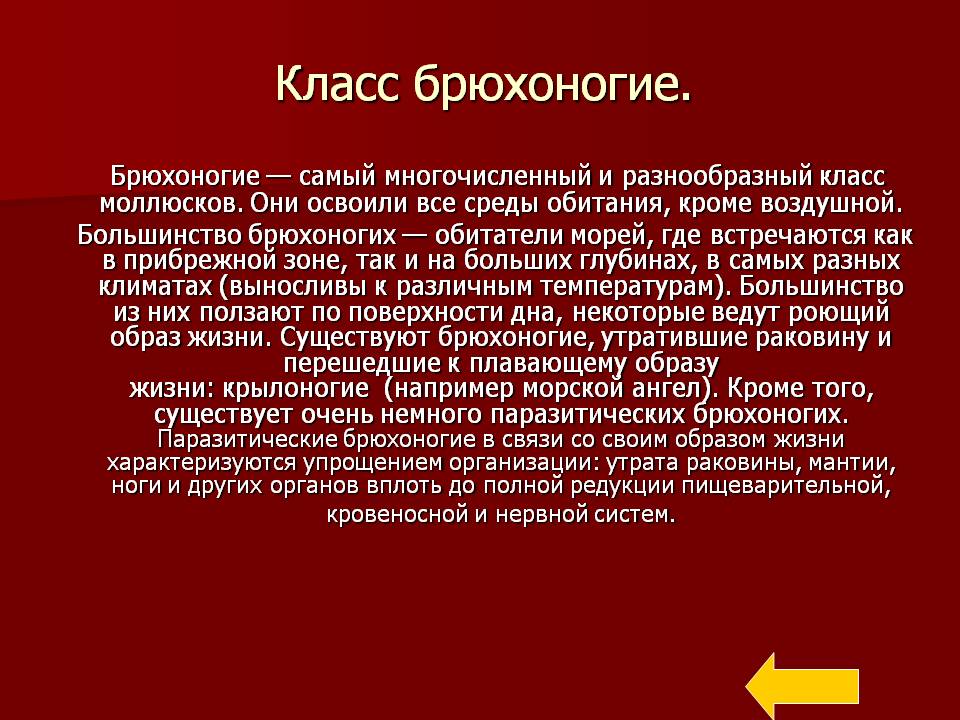 Класс Брюхоногие