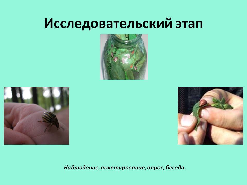 Наблюдение
