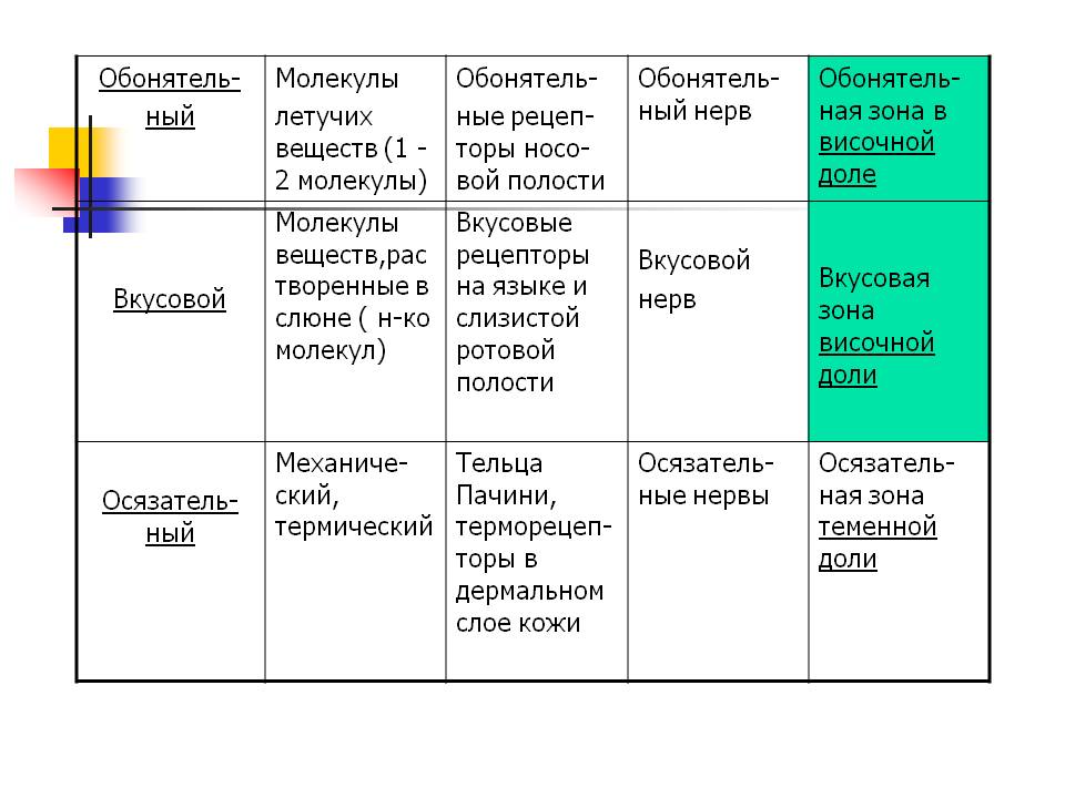 Вкусовая зона