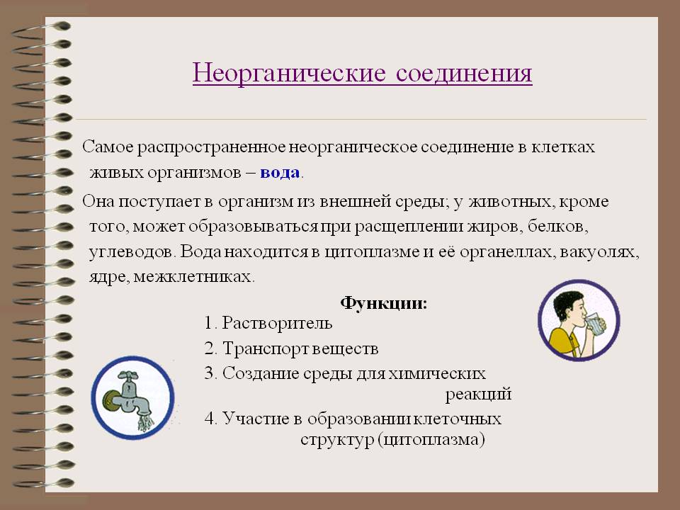 Неорганические соединения