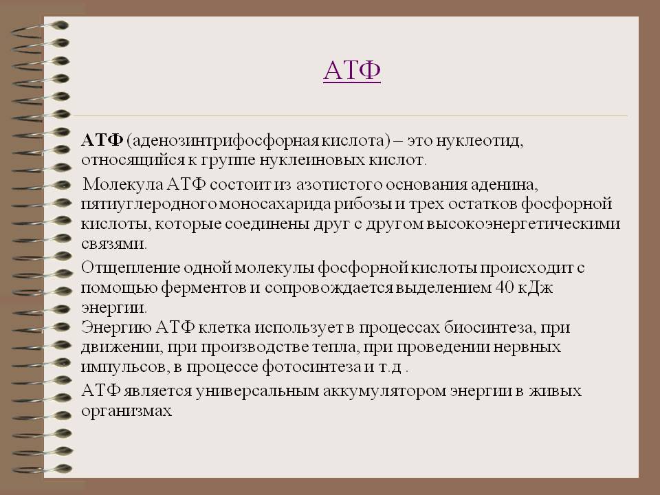 АТФ