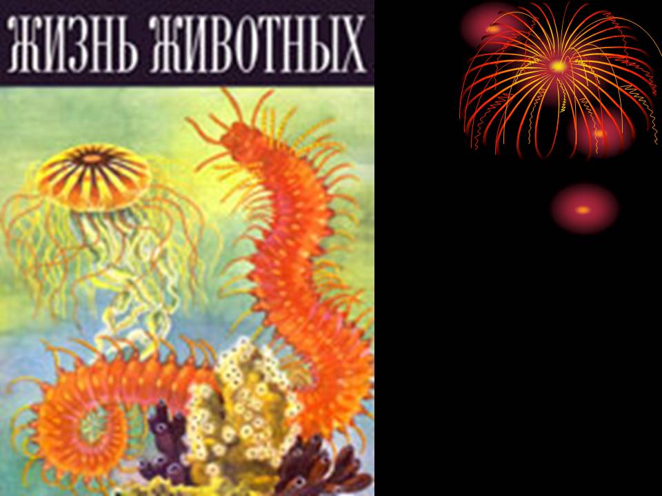 Кишечнополостные 7 класс