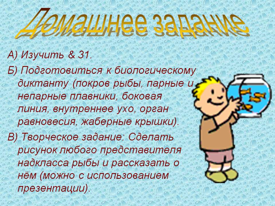 Домашнее задание