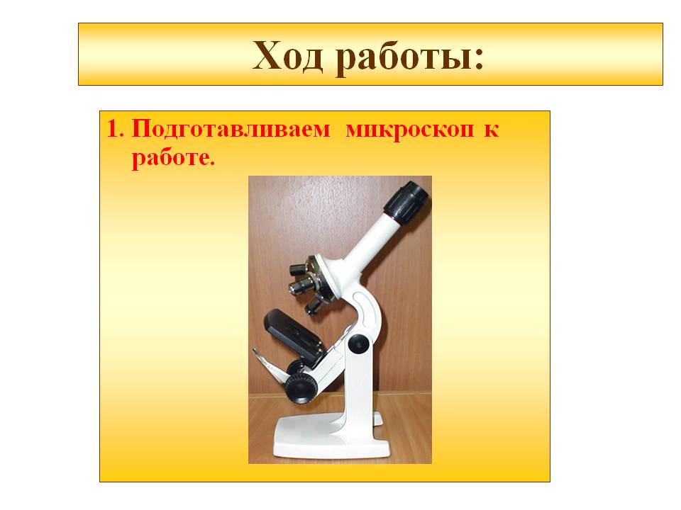 Ход работы