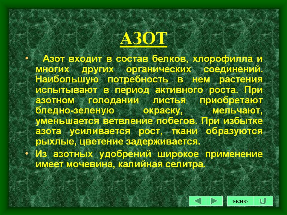 Азот