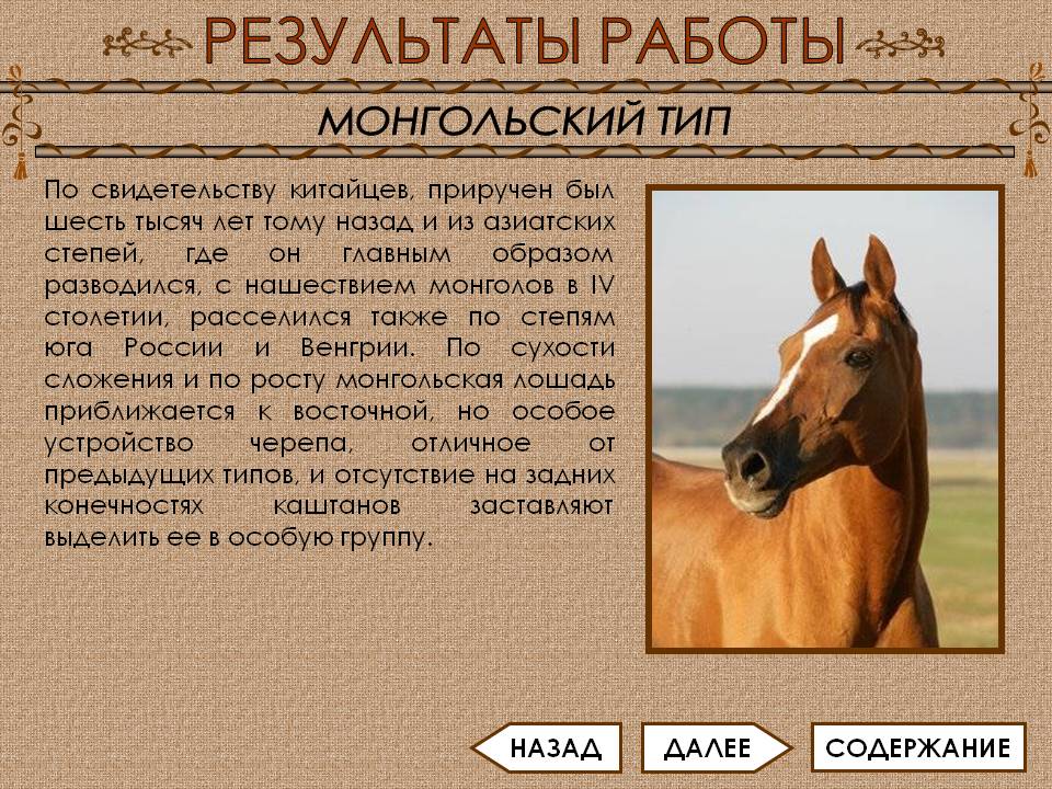 Монгольский тип