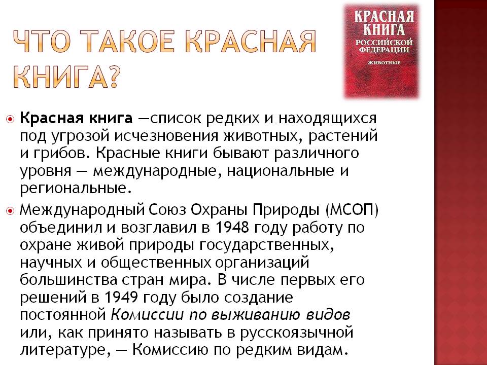 Что такое Красная книга