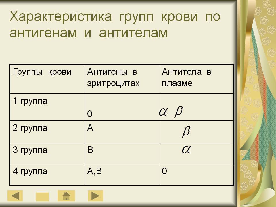 Характеристика групп крови