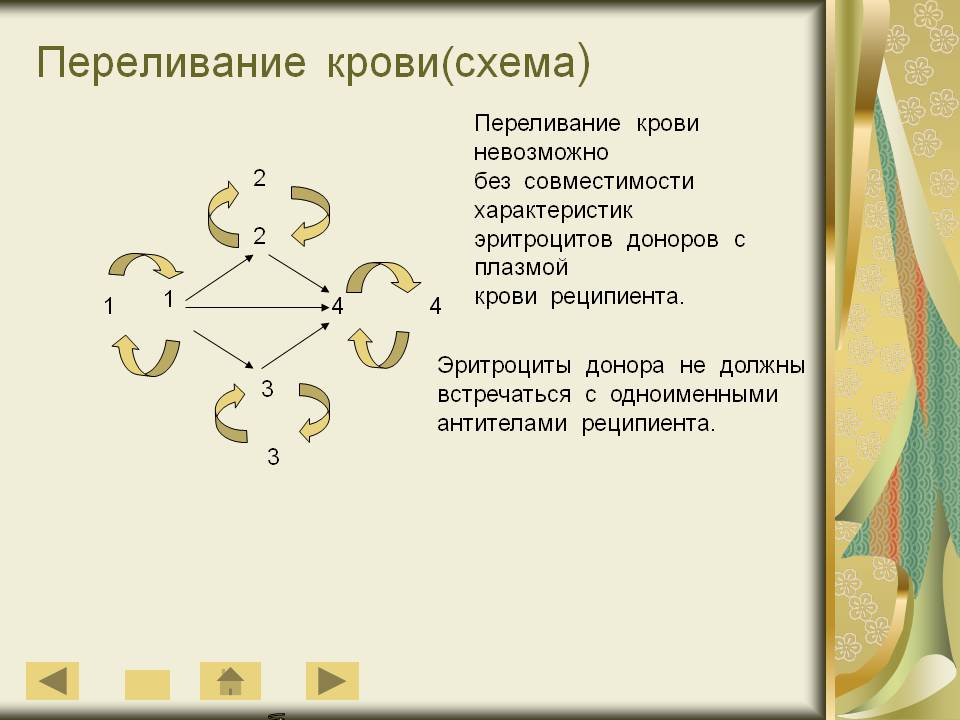 Переливание крови