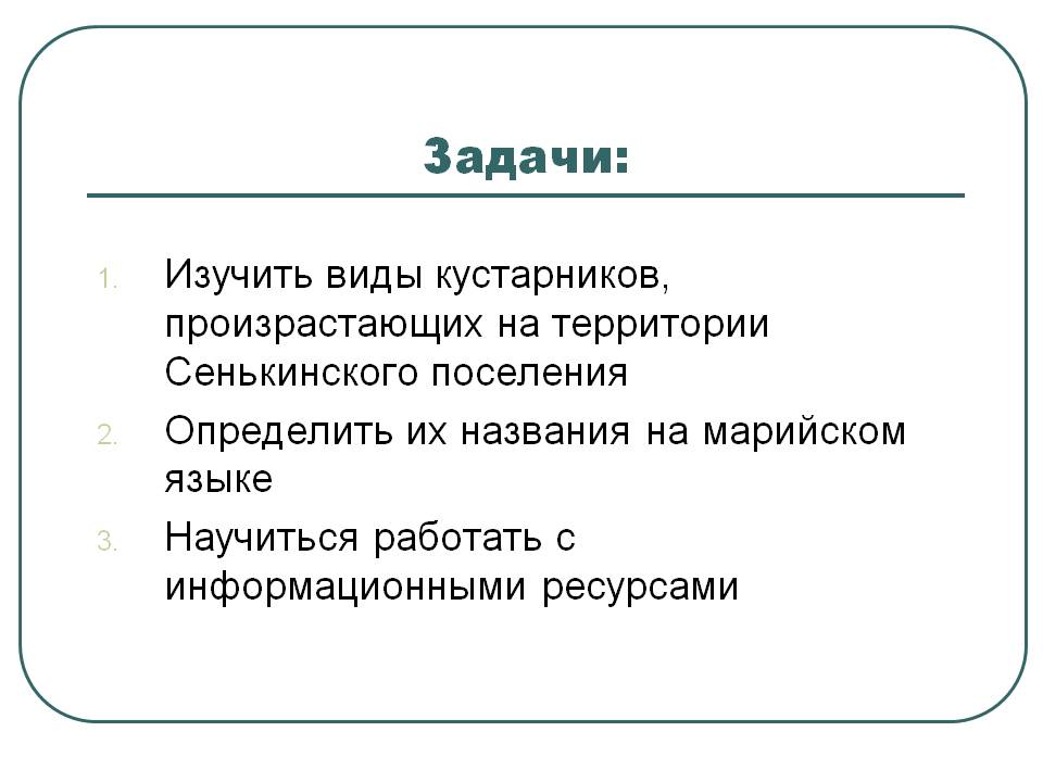 Виды кустарников