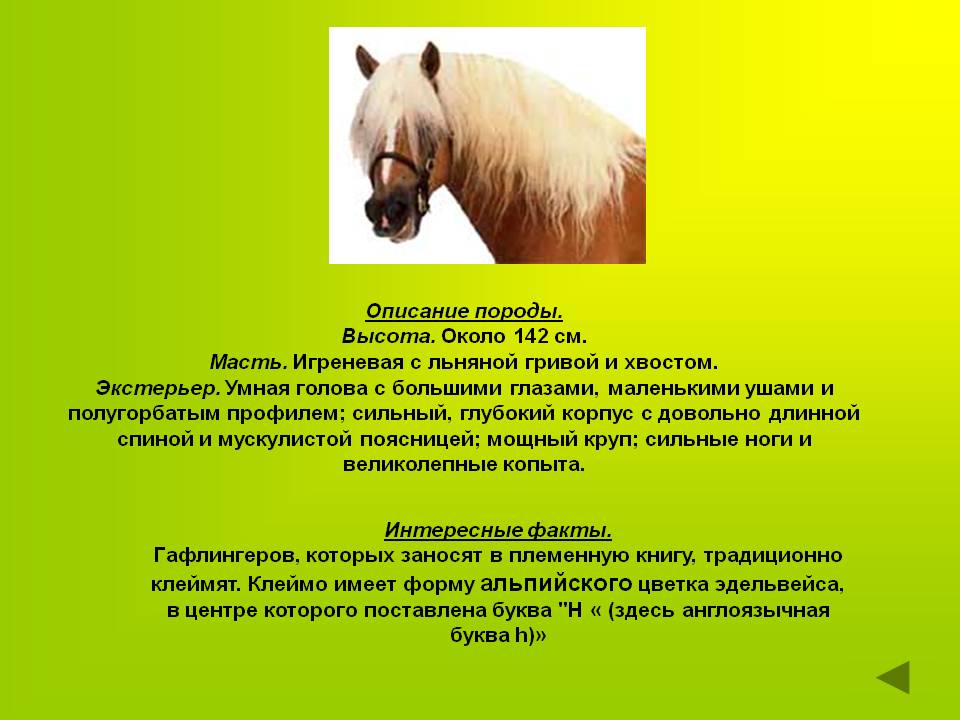 Интересные факты