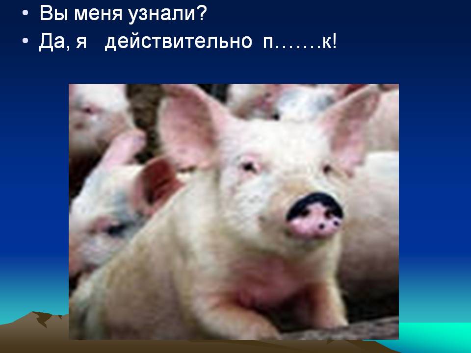 Вы меня узнали