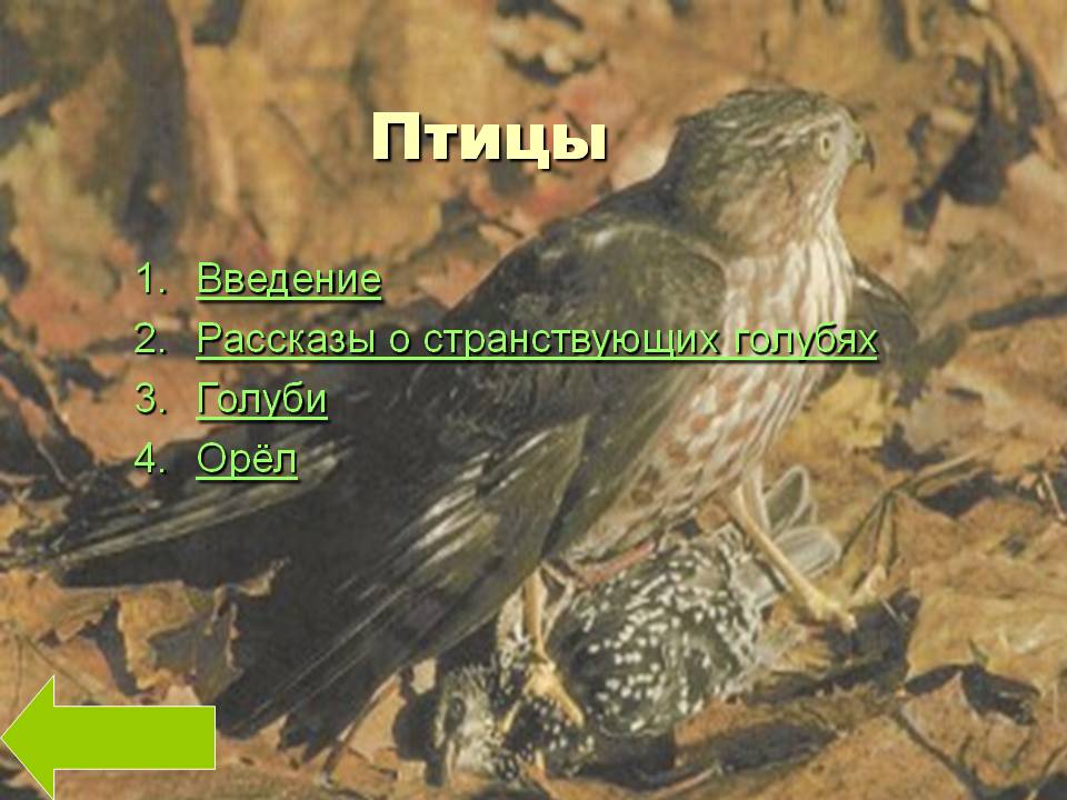 Птицы