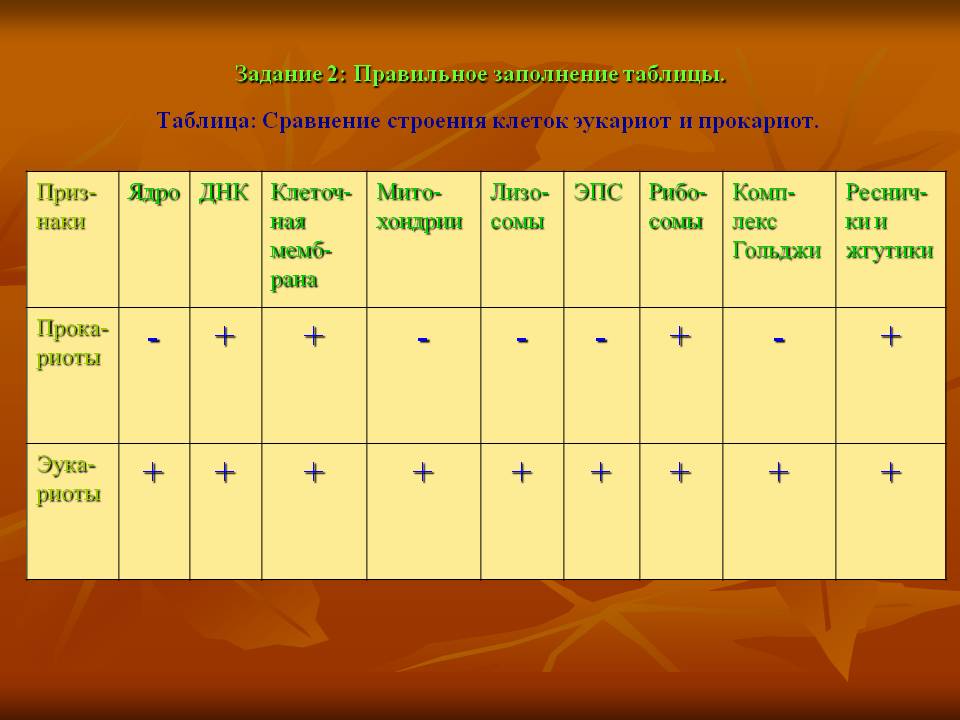 Правильное заполнение таблицы