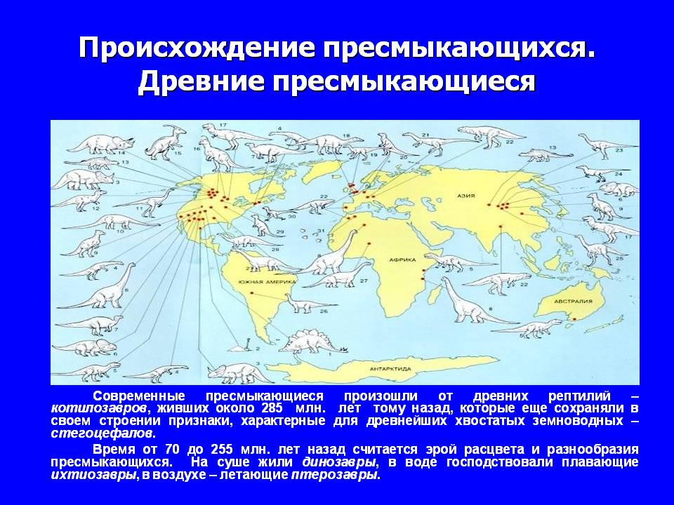 Происхождение пресмыкающихся