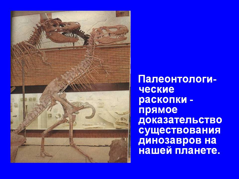 Палеонтологи-ческие раскопки -прямое доказательство существования